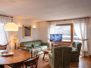 Apartment Chesa Sonnalpine B 48-5 by Interhome - Sankt Moritz - 9
