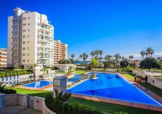 Apartamento Alegria ID74 - Torrevieja - 0