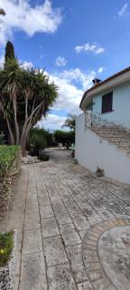 Voscenza Benerica - 1