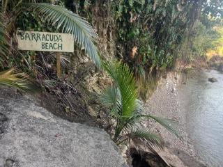 treehouse above the beach - 3