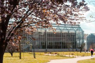 Petit nid douillet - Tours - 9