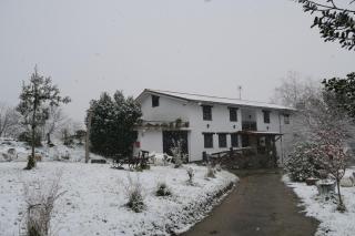 Balentziaga - Azcoitia - 9