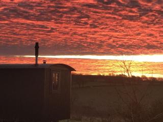 Novelist Shepherd's hut - Beaminster - 2