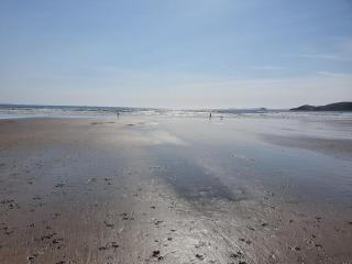 Bandar Cottage, farm cottage, close to Narberth, Pembrokeshire - 5