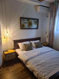 Apartments Klisić - Bar - 4
