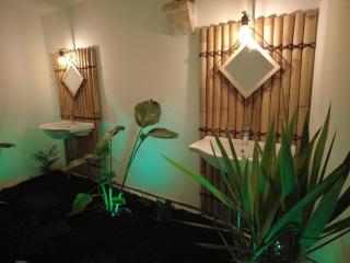 Le Jardin d'Eden -Appartement de charme avec Sauna, Hammam, spa - Issoudun - 2
