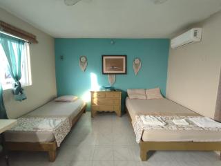 Villa Bonita - Ilha das Mulheres - 0