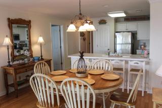 Dolphin Lookout - Tybee Island - 2