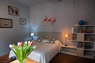 Studio Neve - Bolonia - 5