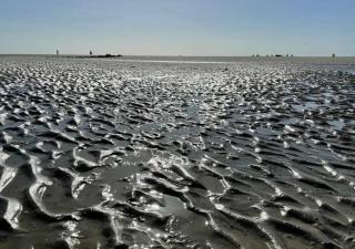 Cottage 213 in Sunparks Oostduinkerke with free parking and garden - 2