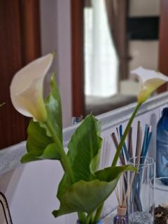 Home Sweet Home - Scerne - 8