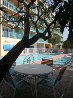 South Beach Oceanfront Resort - St Pete Beach - 6
