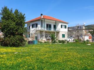 Apartments Grubisin - Tribunj - 0