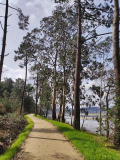 CASA DE VERDES Turismo Rural - 3