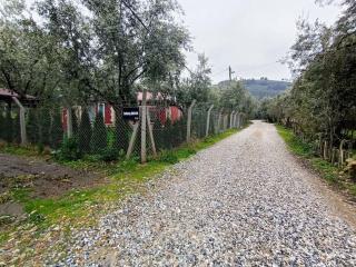 bungalov ve göl kenarina kurulmuş sahil evi. - 6