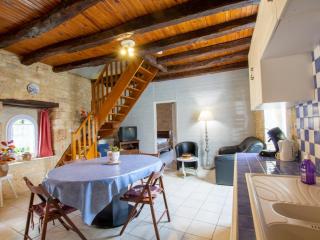Maison en pierres avec jardin clos, proche grotte de Tourtoirac, équipements bébé, animaux acceptés. - FR-1-616-280 - 9