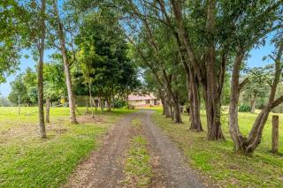 Toad Hall - House & Cottage - Tintenbar - 1