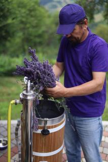 Lavender Valley - Perekrestnoye - 9