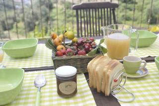 Holiday home in Pompeiana - Ligurische Riviera 22443 - Pompeiana - 5