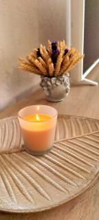 Ukstiņa Holiday apartment - 5