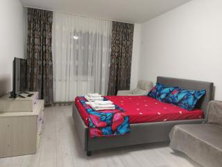 Bya Brown Residence - Valea Lupului - 7