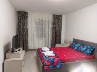 Bya Brown Residence - Valea Lupului - 3