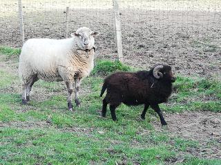 Les Chambres d'Helix - 1