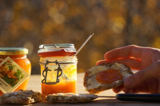 Waalhof Ferienwohnung Apfelblüte - Silandro - 1