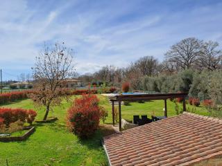 CASA VACANZE L'OLIVO - Lubriano - 3