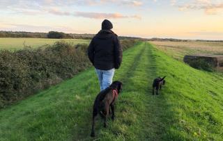 Norfolk Farm Stays by Beach Dog Friendly - 2