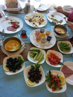 Equestrian and Beach Club - Bodrum - 9