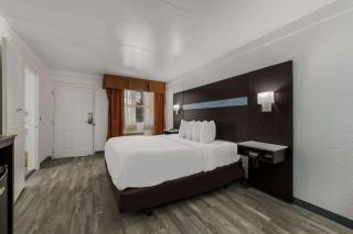 Quality Inn & Suites Airport - Charlotte - 4