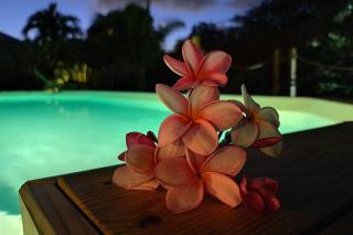 Villa La Plumeria - Saint-François - 5