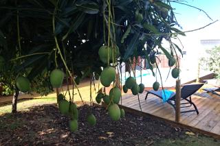 Villa La Plumeria - Saint-François - 3
