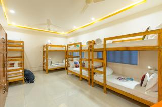 The Social Stays Jaipur - 2