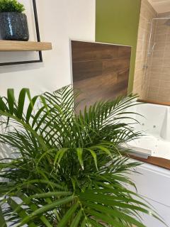 Jungle room - Sotteville-lès-Rouen - 3