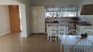 Diseño y luz entre los pinos - 1