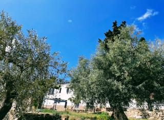 Masia St Salvador 1582 - Cubelles - 4