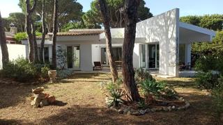 Diseño y luz entre los pinos - Chiclana de la Frontera - 7