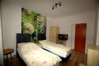Kosciuszko Apartment - Muszyna - 6