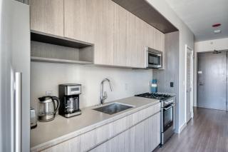 S Loop 1BR w Pool Gym Spa nr Grant Park CHI-742 - 2