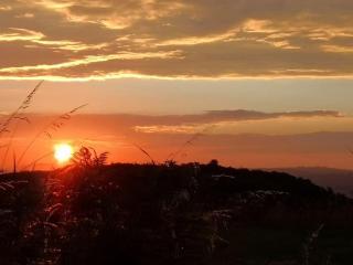 Converted cattle barn overlooking Strangford Lough - Newtownards - 5