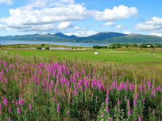 Holiday home SORTLAND III - Sortland - 0