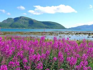 Holiday home SORTLAND III - 7