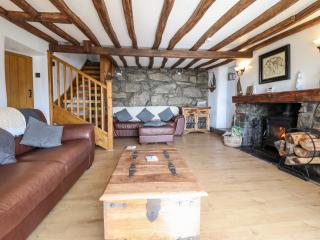 Ty'n-Y-Ffynnon Cottage - Barmouth - 8