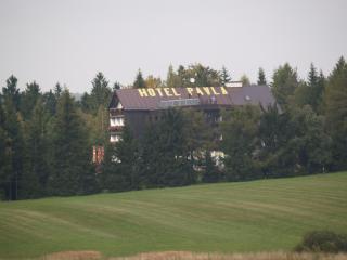 Hotel Pavla Vysočina - Nové Město na Moravě - 8