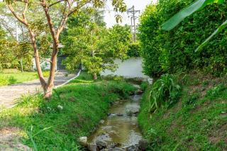 Casa El Limonar Garzón Hospedaje Campestre - 1