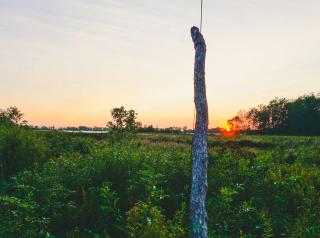 Fronterra Farm- Luxury Camp Experiences - Hillier - 5