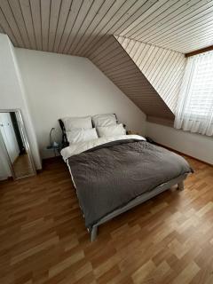 Sunny private Apartment in an amazing valley - Wila - 8