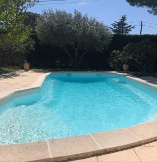 Villa provençale avec piscine et grand jardin - Saint-Geniès-de-Comolas - 1